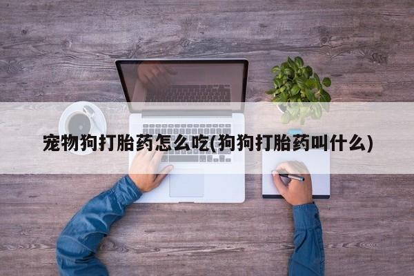 米非司酮片哪里有买宠物狗打胎药怎么吃(狗狗打胎药叫什么)