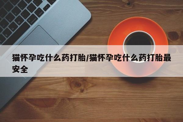 米非司酮片哪里有买猫怀孕吃什么药打胎/猫怀孕吃什么药打胎最安全