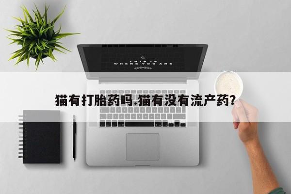 米非司酮片哪里有买猫有打胎药吗.猫有没有流产药？