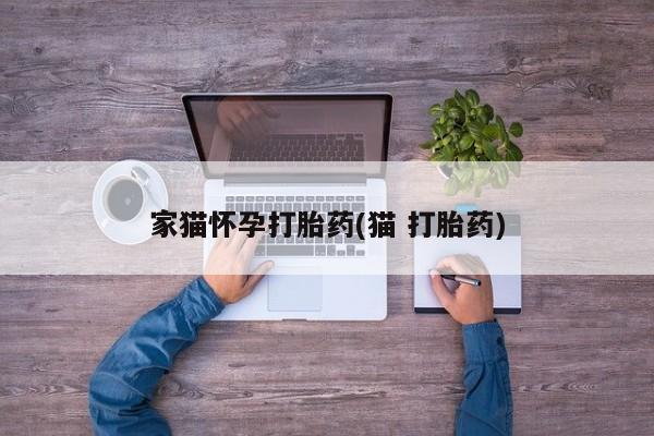 米非司酮片哪里有买家猫怀孕打胎药(猫 打胎药)